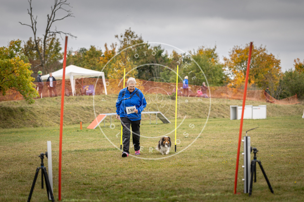 Pfotenfotografie_DV3A5340 | Hundefotografie, Tierfotograf, Pfotenfotografie, Fotoshooting Hund, Hunde Portrait, Hundesport, Hundeportraits, Heideshooting, Hunde, Sportfotograf, Hundefotograf, Turnierhundsport, THS,  - Realisiert mit Pictrs.com