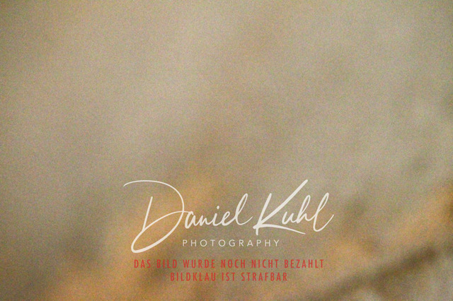 DKP44743 | Turniersportfotografie; Pferdefotografie; Dressurfotografie