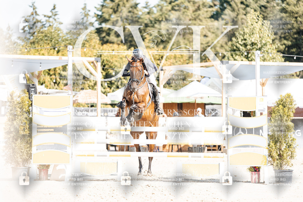 CK902669 | Turnierfotografie Pferdefotografie Trier Rheinland-Pfalz Pferdesport Reitsport Tierfotografie Sportfotografie Pferdevideo Pferdevideografie Equestrianvideography equestrianphotography  - Realisiert mit Pictrs.com