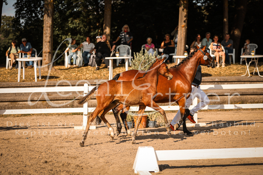 11.DoRP00123 | Leoni Ertmer Photography - Realisiert mit Pictrs.com