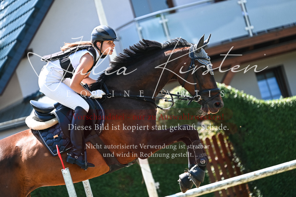 DSC_0246 | Pferde- und Turnierfotografie in Westsachsen. Pferdeportraits, Auftragszeichnungen und intuitive Kunst.