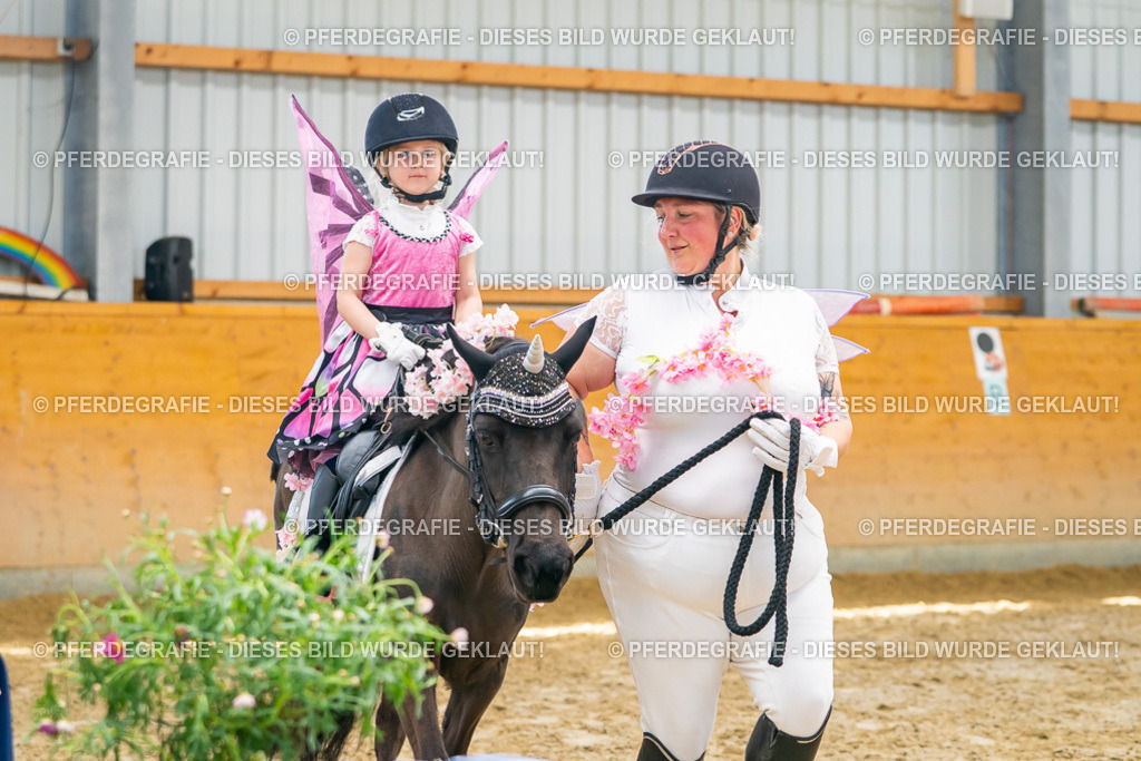 DSC00073 | Pferdegrafie