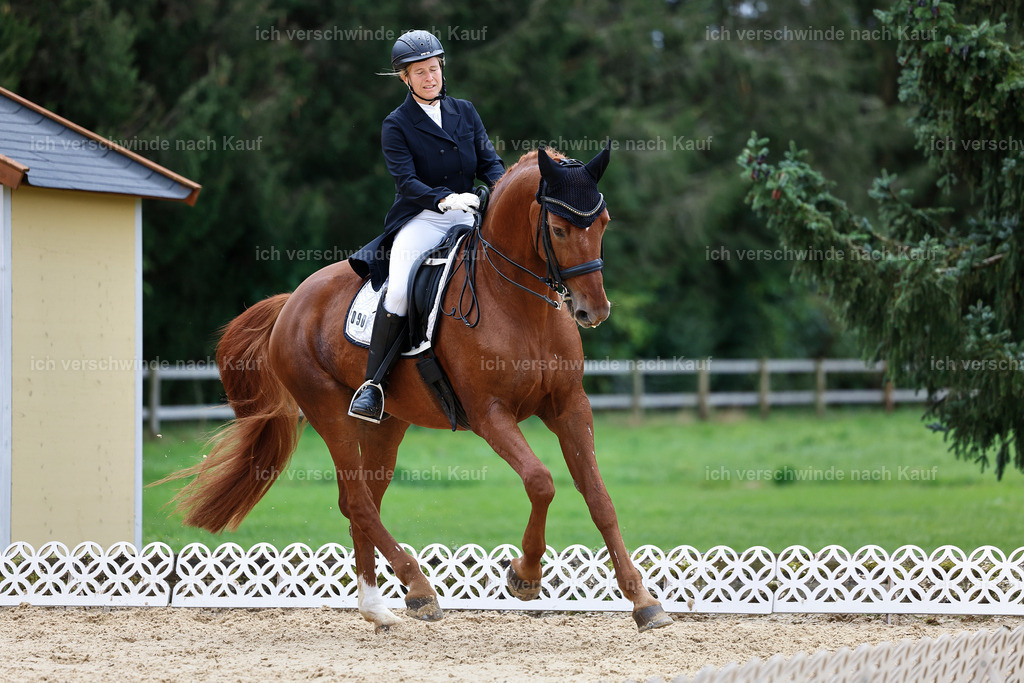 6-090-AMATUER-DRESSUR S_  -StoibPH-3603 | working equitationturnier fotograf videograf stoibphotography marixx film working equitation deutschland reitsport turnierfotografie eventfotografie equestrian events
