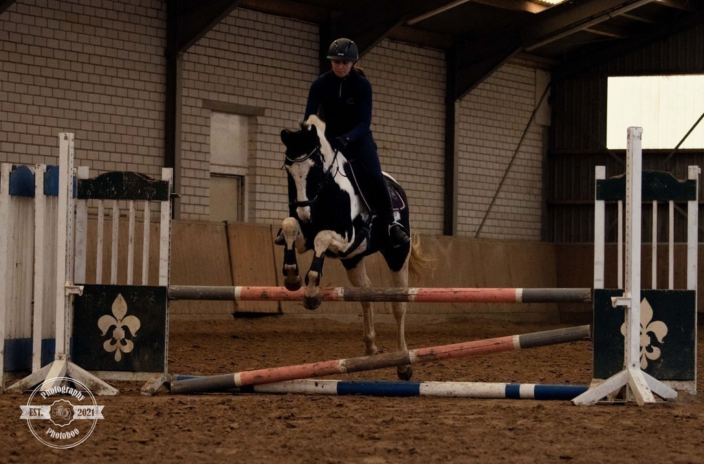 Lieblingsbilder_Photoboo_49 | Pferde- und Hundefotografie in Köln und Umgebung von Vanessza Csuka - Realisiert mit Pictrs.com