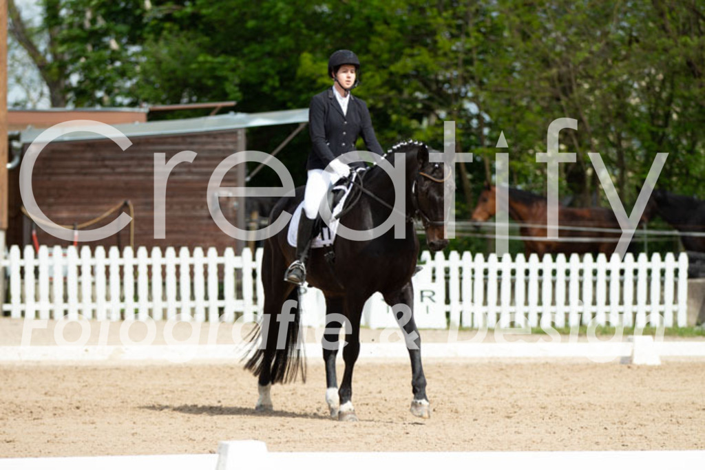 IMG_4221 | Creatify Fotografie