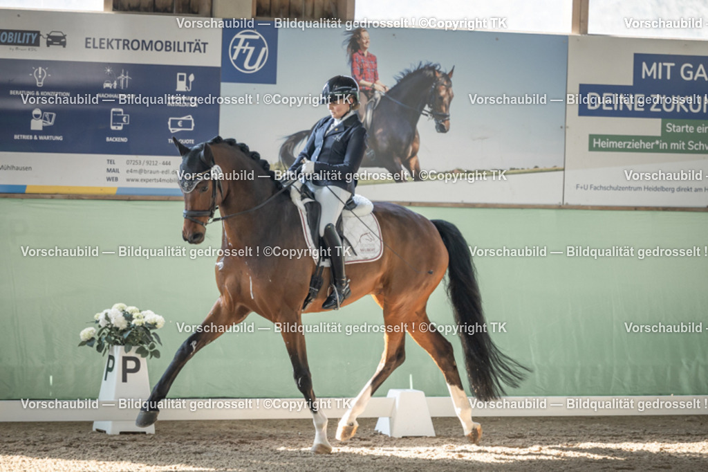 _D5A0781 | Emotionale Pferde- & People-Fotografie rund um Heidelberg, Leimen & Umgebung. Natürliche Fotos von Pferd, Mensch & Familie. Jetzt Termin sichern!