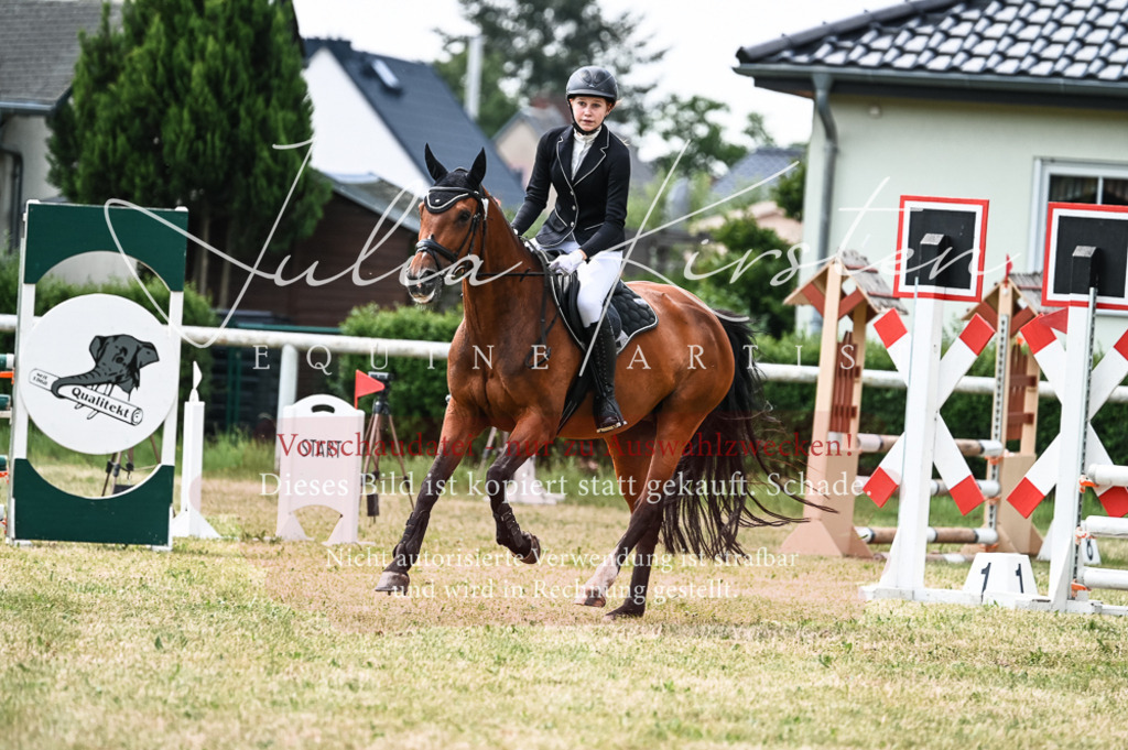 DSC_9014 | Pferde- und Turnierfotografie in Westsachsen. Pferdeportraits, Auftragszeichnungen und intuitive Kunst.