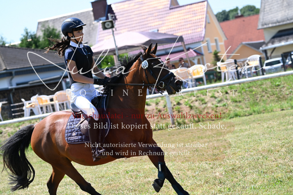 DSC_0826 | Pferde- und Turnierfotografie in Westsachsen. Pferdeportraits, Auftragszeichnungen und intuitive Kunst.