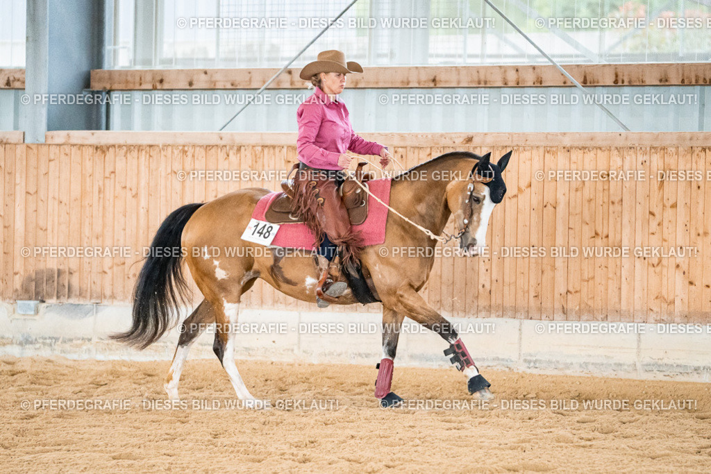 DSC00272 | Pferdegrafie