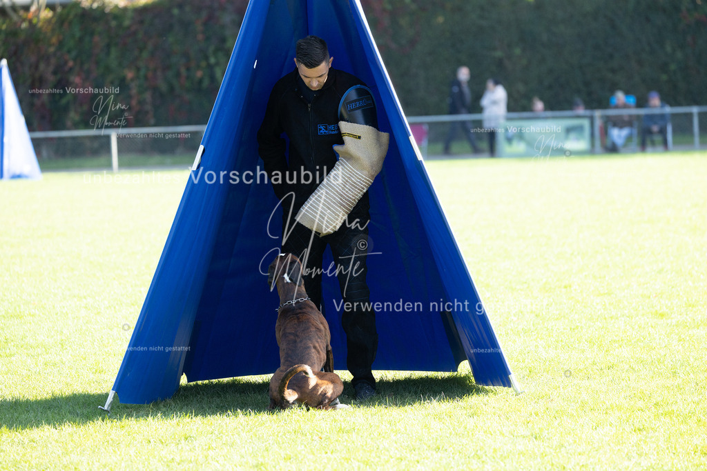 _16A5090 | Einzigartige Fotos von Hunden & Menschen –Actionfotos, Portraits, Vereinsaufnahmen & Paarshootings – authentisch, lebendig & mit Herz.