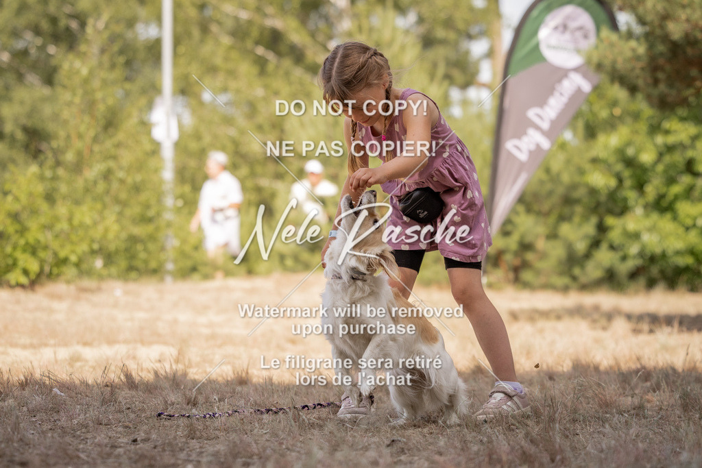 nelerasche_soDD2_305 | nelerasche