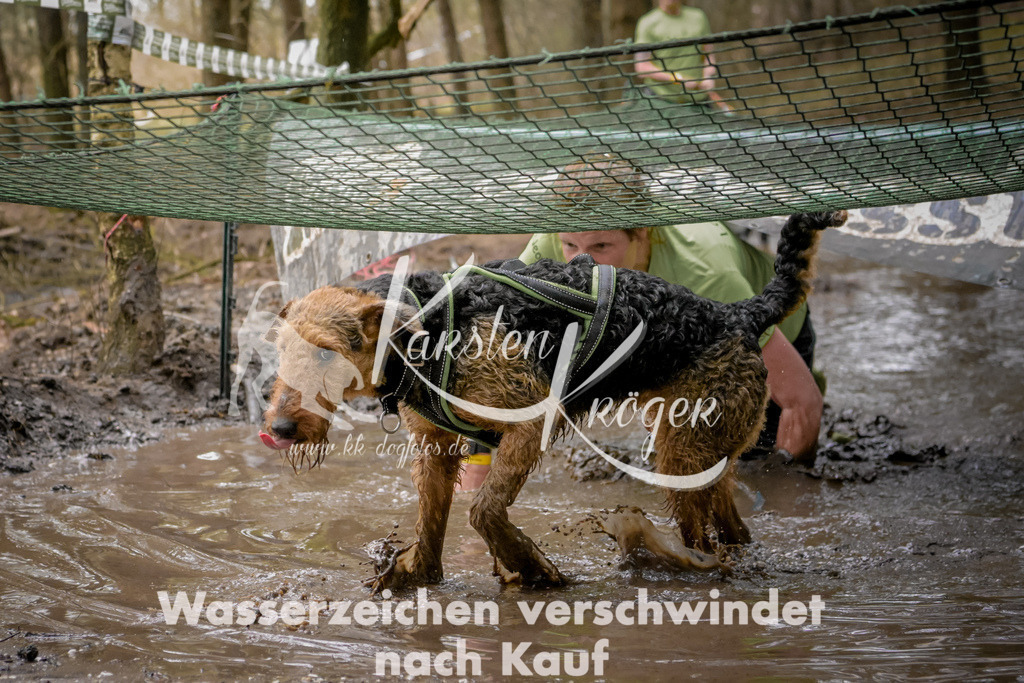 1002_ZZ99000 | kk-dogfotos