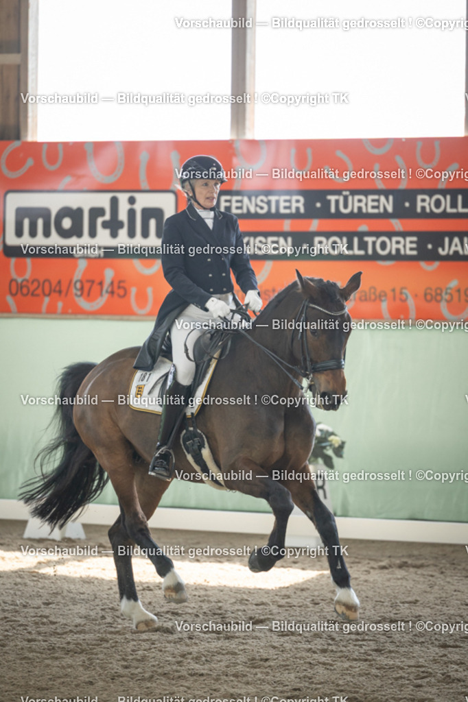 _D5A1522 | Emotionale Pferde- & People-Fotografie rund um Heidelberg, Leimen & Umgebung. Natürliche Fotos von Pferd, Mensch & Familie. Jetzt Termin sichern!