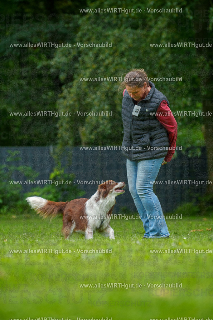 @allesWIRTHgut_Tierfotografie - www.allesWIRTHgut.de - 7R501432 | Professionelle Tierfotografie in Mönchengladbach von Daniel Wirth (allesWIRTHgut). Liebevolle & natürliche Bilder von Hunden & Katzen für unvergessliche Erinnerungen.