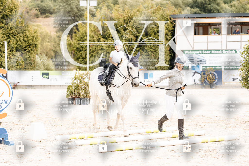 CK907149 | Turnierfotografie Pferdefotografie Trier Rheinland-Pfalz Pferdesport Reitsport Tierfotografie Sportfotografie Pferdevideo Pferdevideografie Equestrianvideography equestrianphotography  - Realisiert mit Pictrs.com
