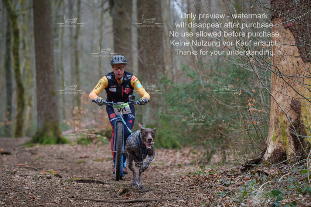 Scooter_So-62 | stephaniefillaphotographie - Realisiert mit Pictrs.com