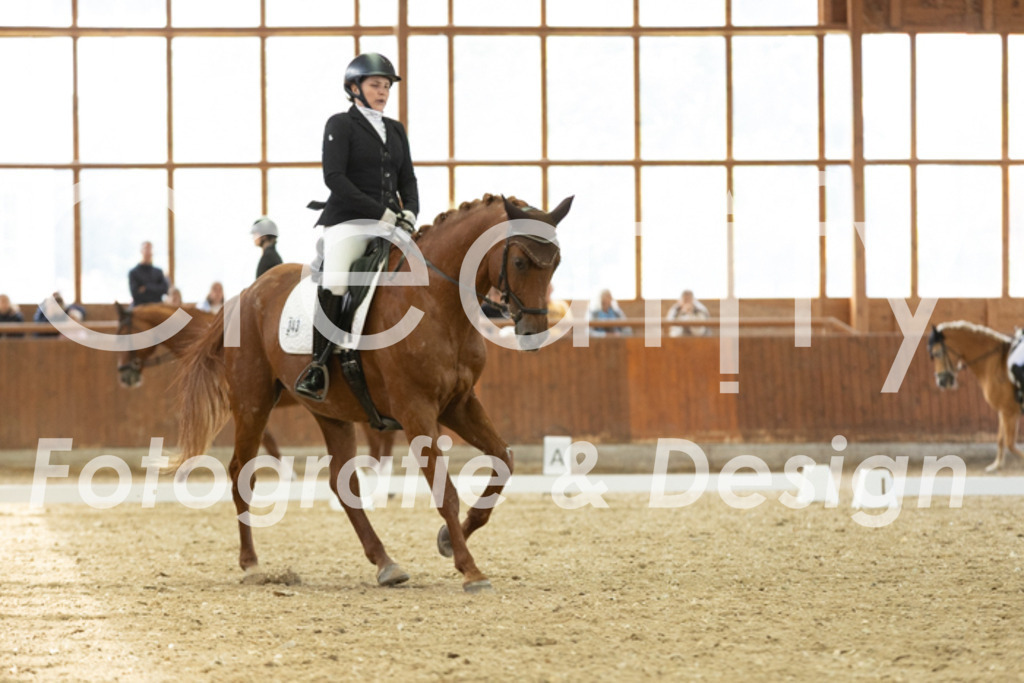 IMG_5837 | Creatify Fotografie