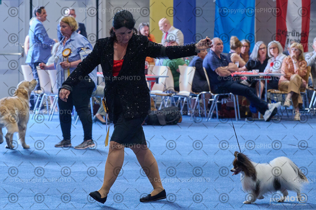 202406_ÖKV-IHA-Tulln24_DSC_4880 | proPHOTO - Realisiert mit Pictrs.com