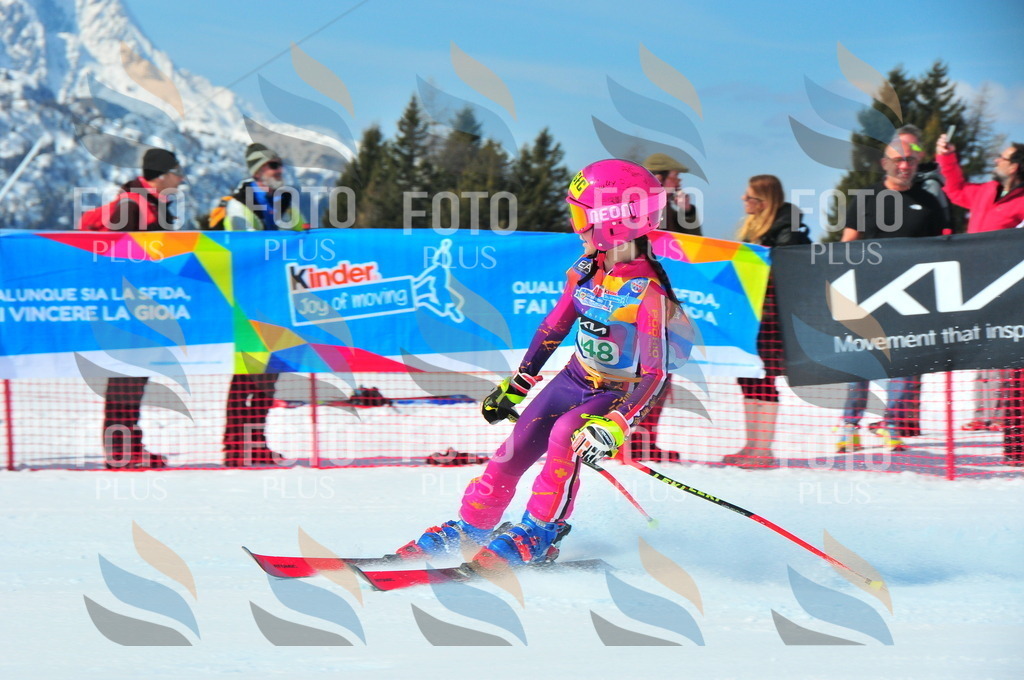 DSC_1278 | holidayphoto