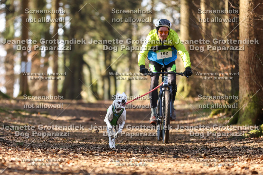 Dog Paparazzi - VCC26-995 | Dog Paparazzi Jeanette Grottendiek Fotografie & Videografie - Realisiert mit Pictrs.com