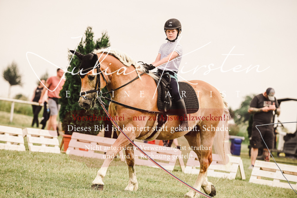 DSC_5212 | Pferde- und Turnierfotografie in Westsachsen. Pferdeportraits, Auftragszeichnungen und intuitive Kunst.