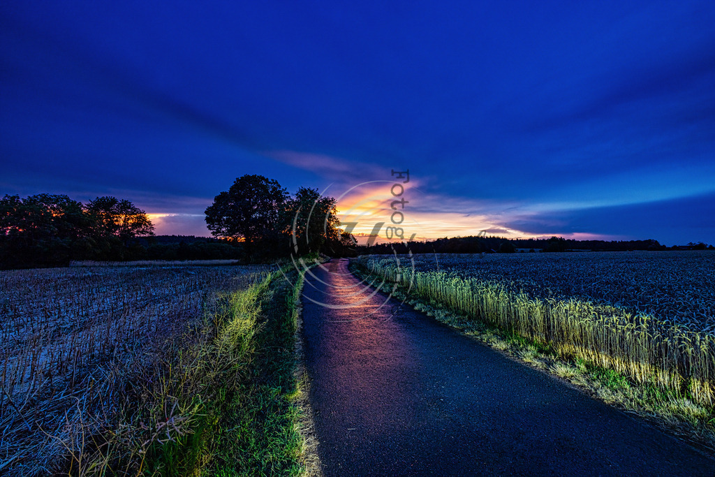 2023_07_11_9999_2 | Frank Herberich Fotografie, Frank Herberich, Fotografie, Hochzeit, Portrait, St. Peter Ording, Ording, Westerhever, Nordsee, Frank Fotografie, Hardheim,  Odenwald,Walldürn, Band,Eventfotografie - Realisiert mit Pictrs.com