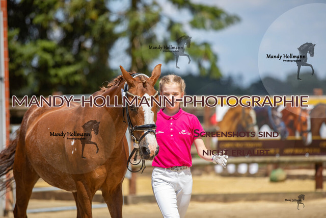 IMG_3069 | mandyhollmannphotographie