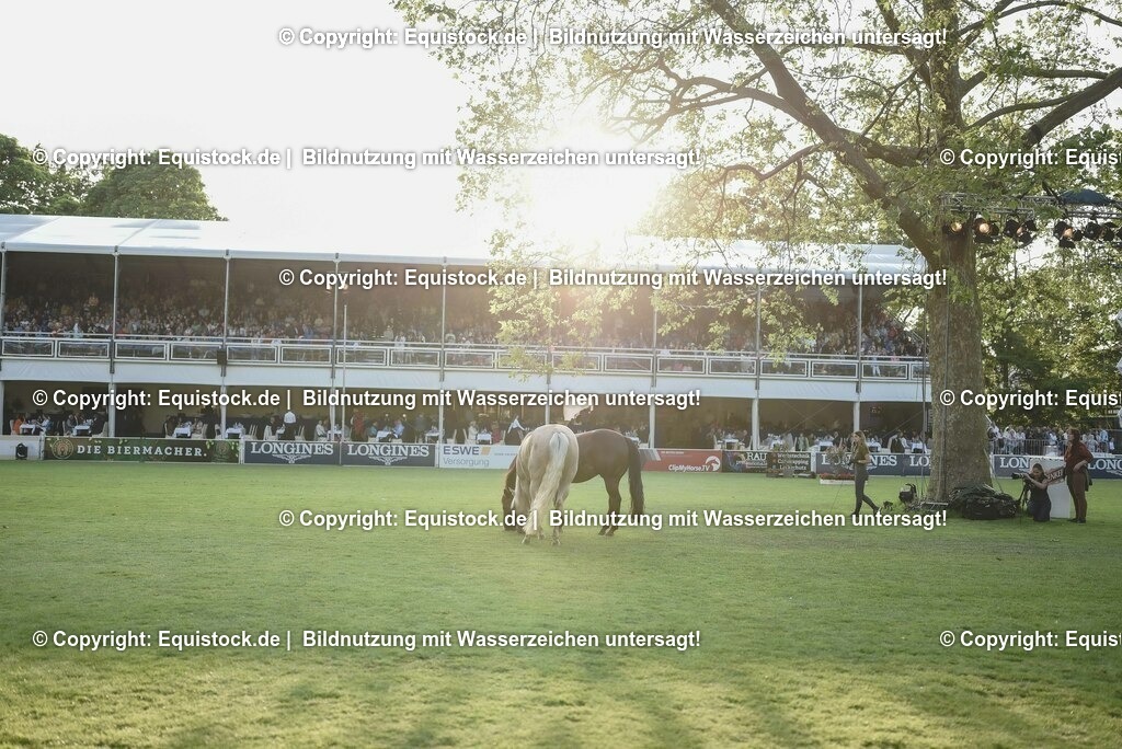 20230526_Impressionen_0331 | equistock