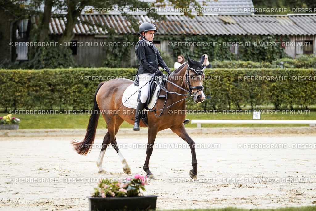 DSC04610 | Pferdegrafie