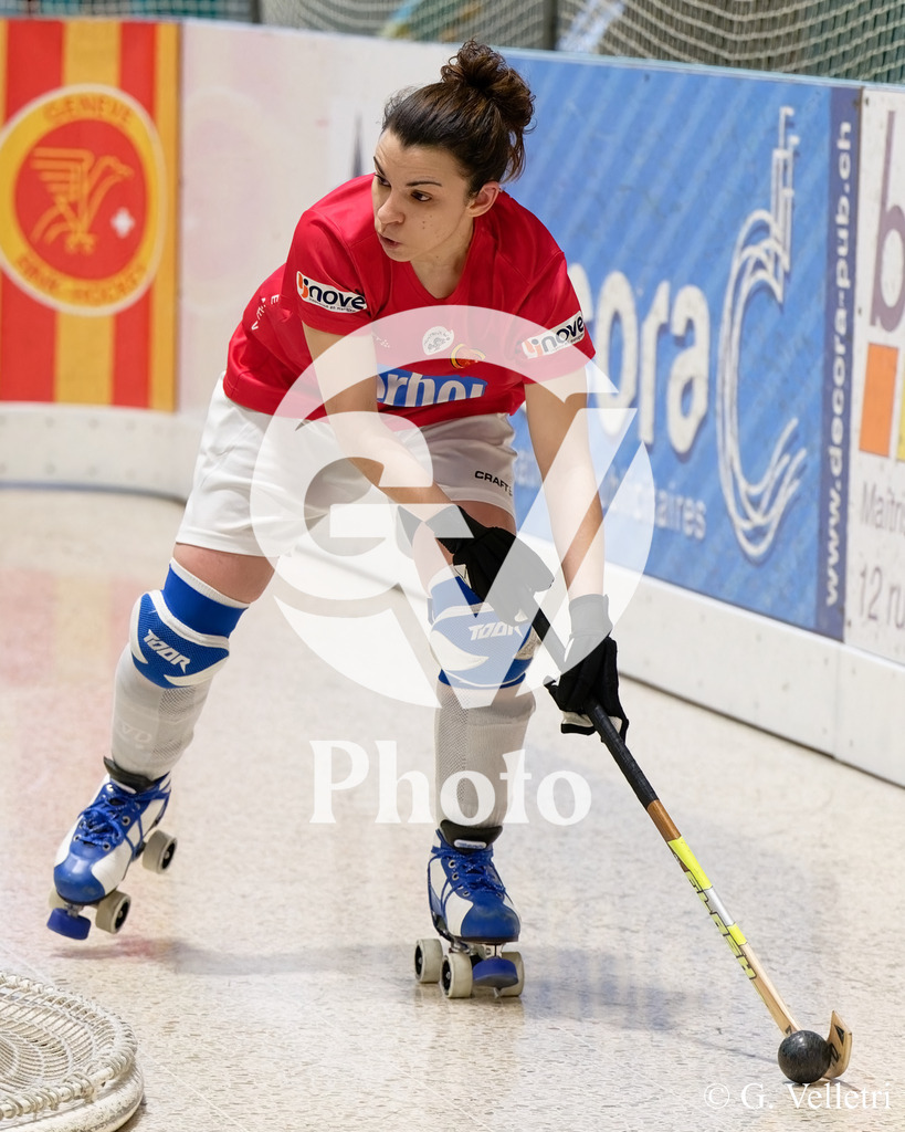 DSC_8608 | Velletri Photo