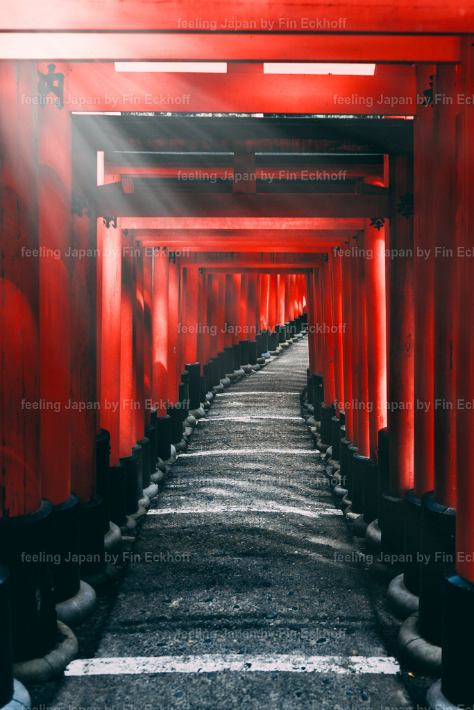 06 - Kyoto - Tradition-1 | FI-LO Bildershop – Entdecken Sie beeindruckende Fotografie und inspirierende Videoproduktionen. Tauchen Sie ein in faszinierende Welten und lassen Sie sich von meinen einzigartigen Werken auf eine emotionale Reise mitnehmen. Perfekt für Kunstliebhaber und - Realisiert mit Pictrs.com