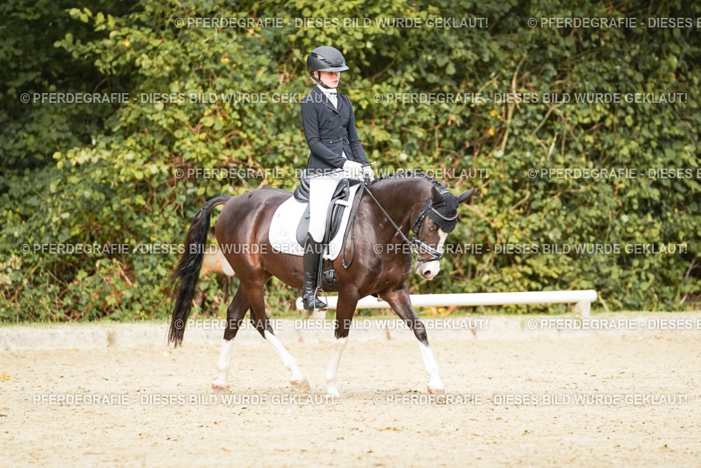 DSC03711 | Pferdegrafie