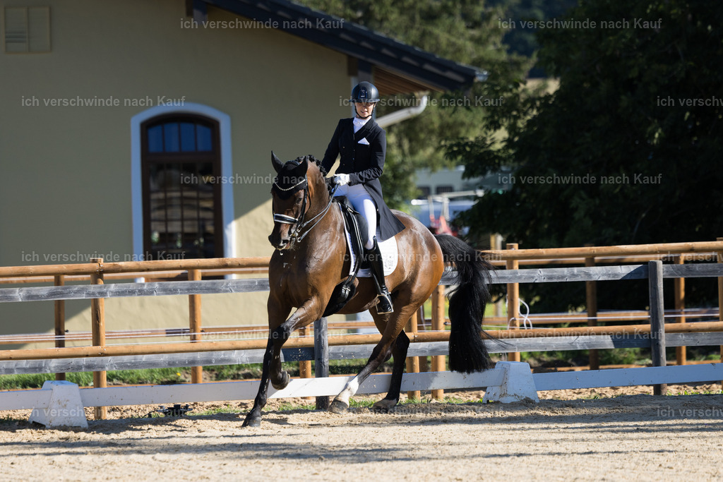 FHC2026_P07_150_17258 | working equitationturnier fotograf videograf stoibphotography marixx film working equitation deutschland reitsport turnierfotografie eventfotografie equestrian events