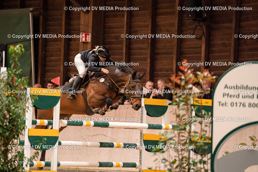 Springen Tag 3-364 | dv-media-shop - Realisiert mit Pictrs.com