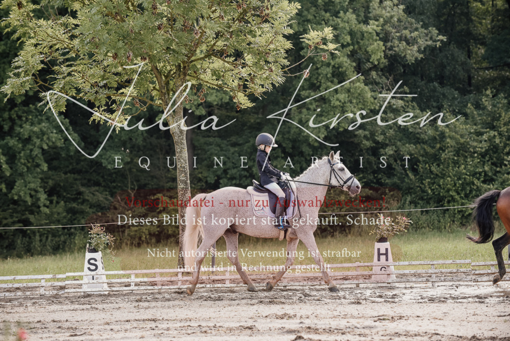 DSC_8363 | Pferde- und Turnierfotografie in Westsachsen. Pferdeportraits, Auftragszeichnungen und intuitive Kunst.