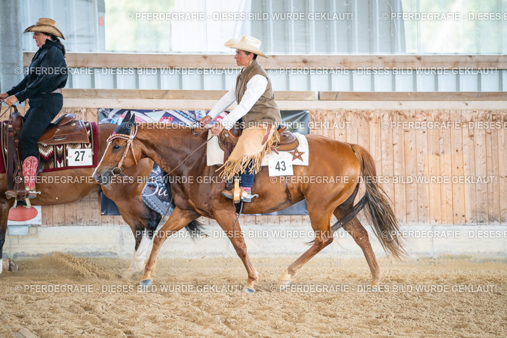 DSC03581 | Pferdegrafie