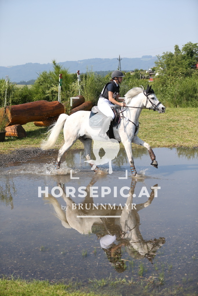 DL2Q1586 | Willkommen bei Brunnmayr - Design & Fotografie – Ihrem Spezialisten für Reitturniere und Pferdeveranstaltungen in Oberösterreich, Salzburg und Bayern! Seit über 17 Jahren sind wir leidenschaftlich dabei.