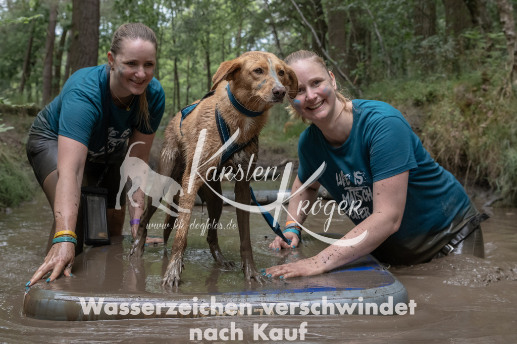 1347_ZZ96053 | kk-dogfotos