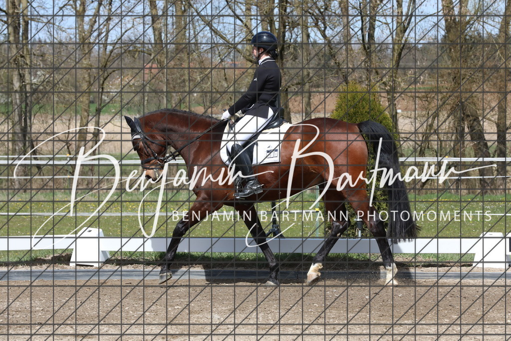 AZ2A3927 | Benjamin Bartmann Photomoments