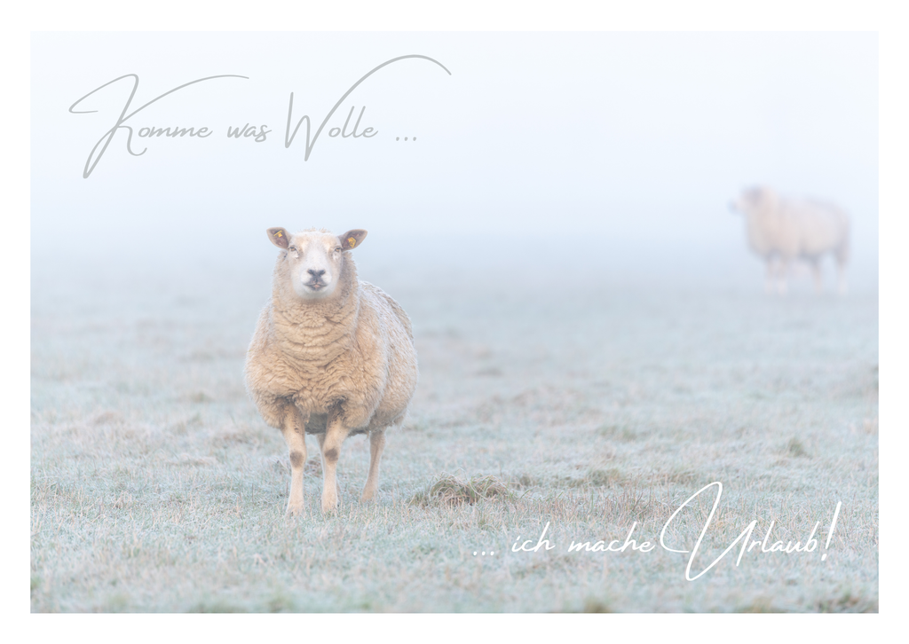 Motiv 99 | Eilun-Art-Fotografie Levke Martens, ihre Fotografin für Immobilien- und Landschaftsfotografie auf Föhr, Föhrer Motive als Poster, Leinwand, hinter Acrylglas oder stelle dir deinen eigenen Monatskalender zusammen, mit nur einem Klick