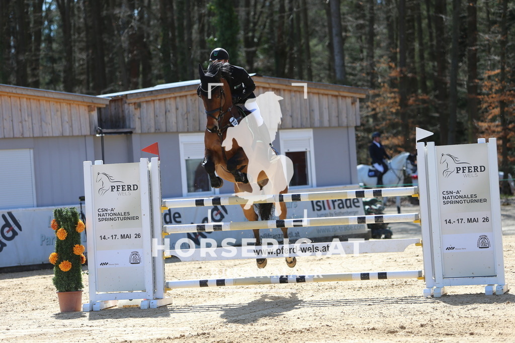 DL2Q5007 | Willkommen bei Brunnmayr - Design & Fotografie – Ihrem Spezialisten für Reitturniere und Pferdeveranstaltungen in Oberösterreich, Salzburg und Bayern! Seit über 17 Jahren sind wir leidenschaftlich dabei.