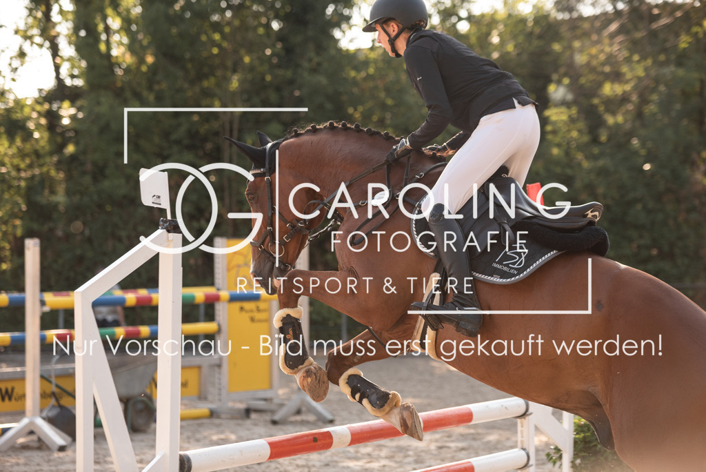 DSC_6515 | Turnierfotografin Carolin Gieschke, Turnierfotografie Carolin G Fotografie, Turnierfotos Kirchheim/Teck, Esslingen, Stuttgart, Bodenseekreis