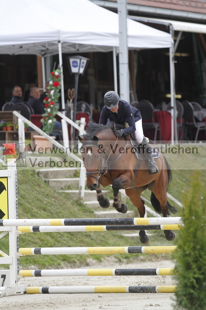 _MG_1551 | equestrian-live-com