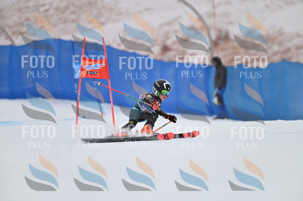 BGV_0199 | holidayphoto