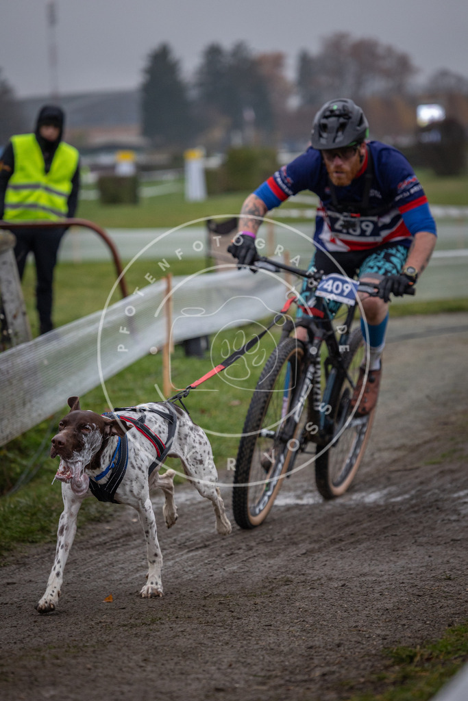 CaniXpix_0L8A1569 | Hundefotografie, Tierfotograf, Pfotenfotografie, Fotoshooting Hund, Hunde Portrait, Hundesport, Hundeportraits, Heideshooting, Hunde, Sportfotograf, Hundefotograf, Turnierhundsport, THS,  - Realisiert mit Pictrs.com