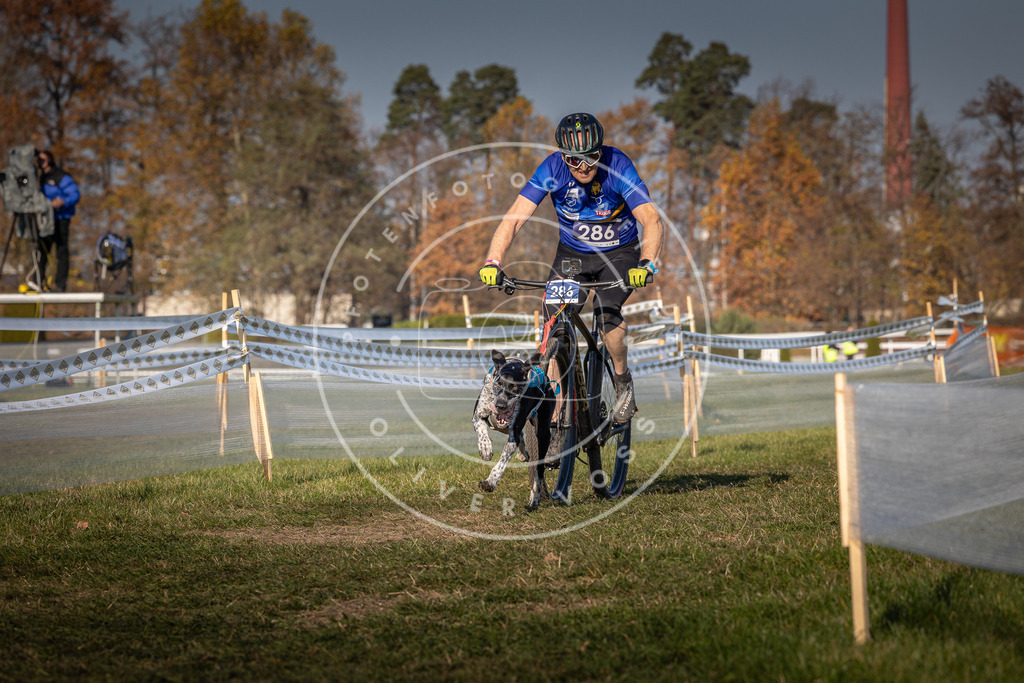 CaniXpix_0L8A6208 | Hundefotografie, Tierfotograf, Pfotenfotografie, Fotoshooting Hund, Hunde Portrait, Hundesport, Hundeportraits, Heideshooting, Hunde, Sportfotograf, Hundefotograf, Turnierhundsport, THS,  - Realisiert mit Pictrs.com