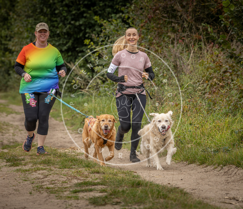 Pfotenfotografie_DV3A7338 | Hundefotografie, Tierfotograf, Pfotenfotografie, Fotoshooting Hund, Hunde Portrait, Hundesport, Hundeportraits, Heideshooting, Hunde, Sportfotograf, Hundefotograf, Turnierhundsport, THS,  - Realisiert mit Pictrs.com