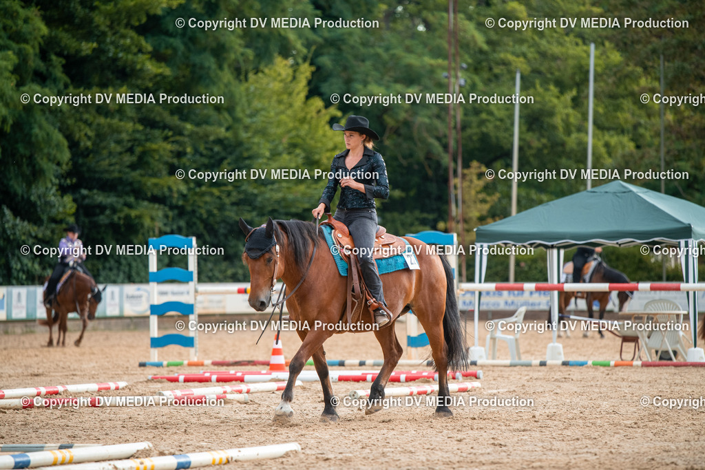 ZS2_7385 | dv-media-shop - Realisiert mit Pictrs.com