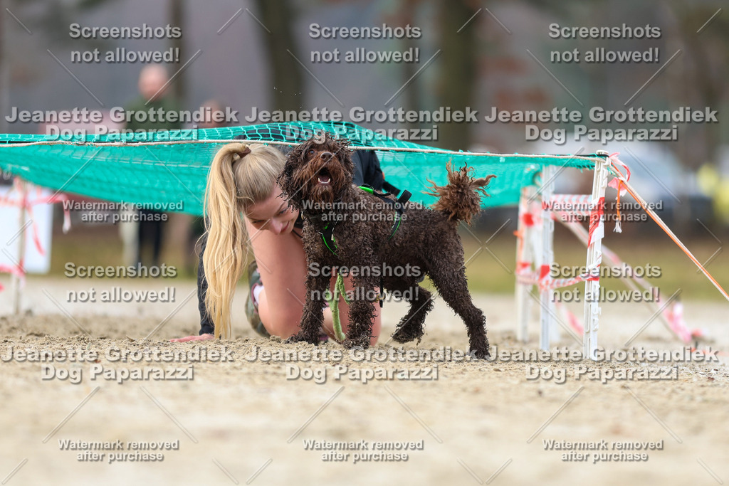 Dog Paparazzi - Strongdog North Mrz26-4122 | Dog Paparazzi Jeanette Grottendiek Fotografie & Videografie - Realisiert mit Pictrs.com