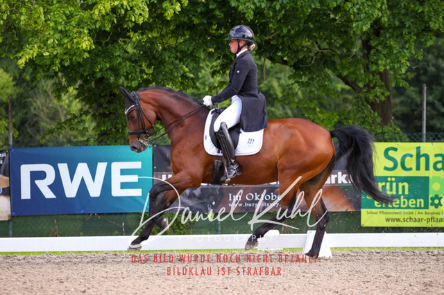 DKP41632 | Turnierfotos kaufen im Webshop von Daniel Kuhl Photography – entdecke professionelle Reitsportfotos aus Turnieren & Events. Hochwertige Turnierbilder online bestellen & sichern. Jetzt Fotos von Reitsportturnieren kaufen!